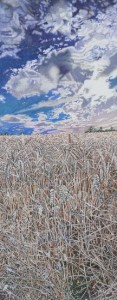 Late Summer, Corn Field large