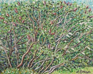 Lilac Trees