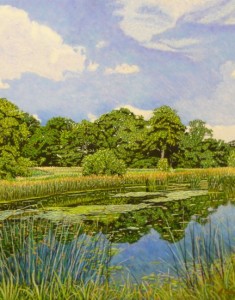 Small Lake, Branston Summer