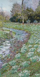 Snowdrops, Spring Awakening
