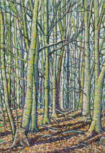 Trees, Canwick Woods