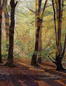 Autumn Woods