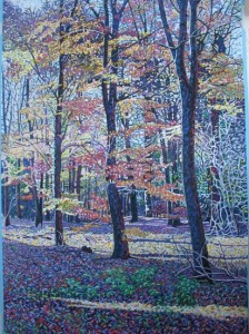Autumn, Canwick Woods