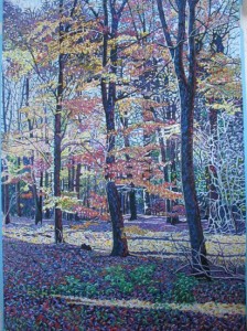 Autumn, Canwick Woods