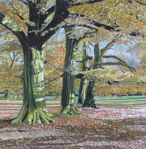 Beech Trees, Autumn, Branston Park