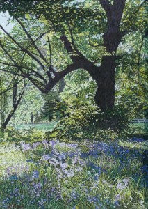 Bluebells, Branston Park