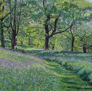 Bluebell Walk