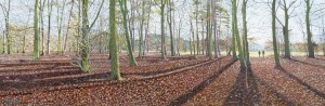 Autumn Morning, Hartsholme Park