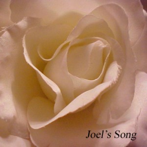 joels song cover