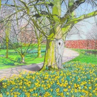 Daffodils, Branston