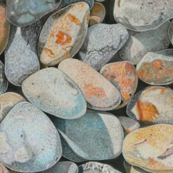 Pebbles, Norfolk 1