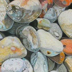 Pebbles, Norfolk 2
