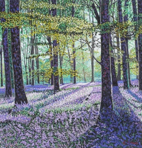 Bluebell Wood Early Morning